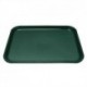 Kristallon Plastic Foodservice Tray Medium in Green