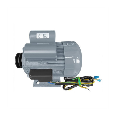 Polar Electric Motor