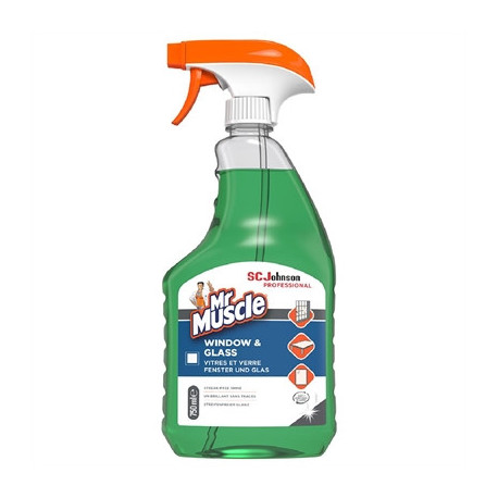 Mr Muscle Window & Glass Cleaner 750ml