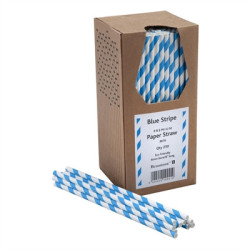 Beaumont Blue & White Stripped Bore Paper Straw 8 Inch 6mm (250 Pack)