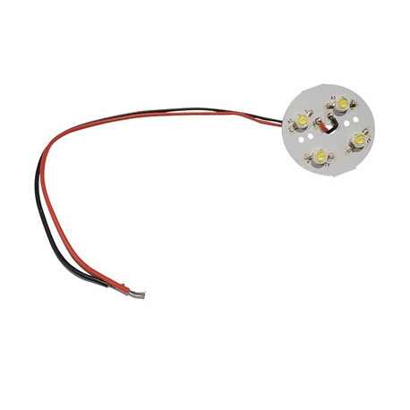 Polar LED Light