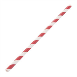 Fiesta Compostable Paper Straws Red Stripes (250 Pack)