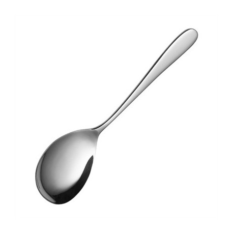 Sola Oasis Serving Spoon (12 Pack)