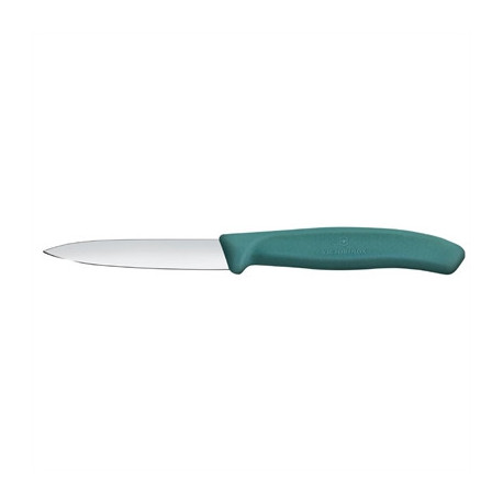 Victorinox Swiss Classic Paring Knife Straight Pointed Green 19cm ( 2 Pack)