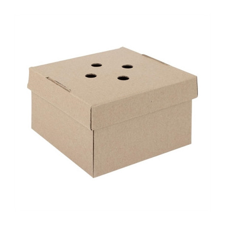 Fiesta Compostable Fold-Out Burger Boxes (100 Pack)