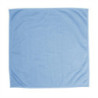 Jantex Small Glass Cloth Blue