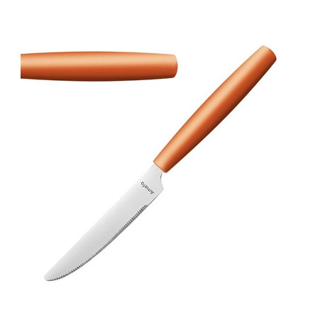 Amefa PIXEL Table Knives Orange (12 Pack)