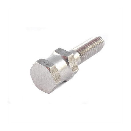 Locking Screw
