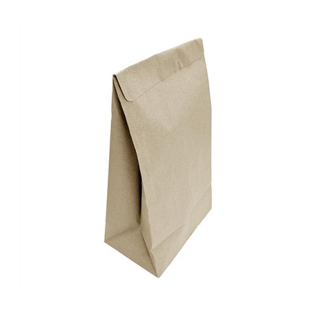 Fiesta Recyclable Sealable Takeaway Bags Medium (250 Pack)
