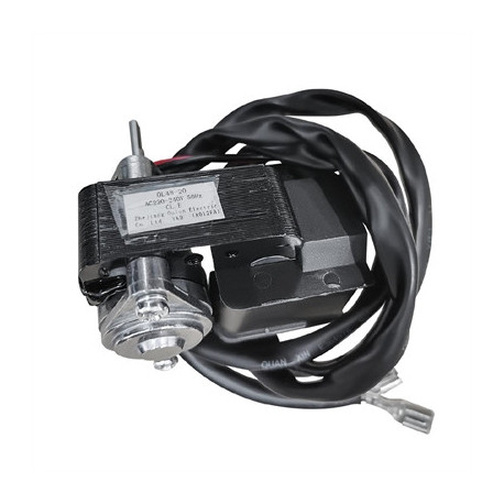 Polar Water Motor