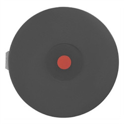 Buffalo Hot Plate