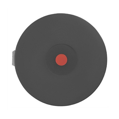 Buffalo Hot Plate